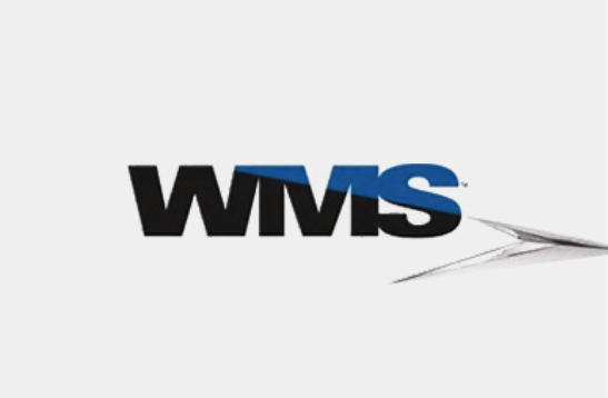 WMS倉庫管理(lǐ)系統
